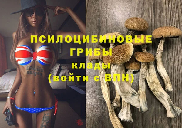 экстази Михайлов