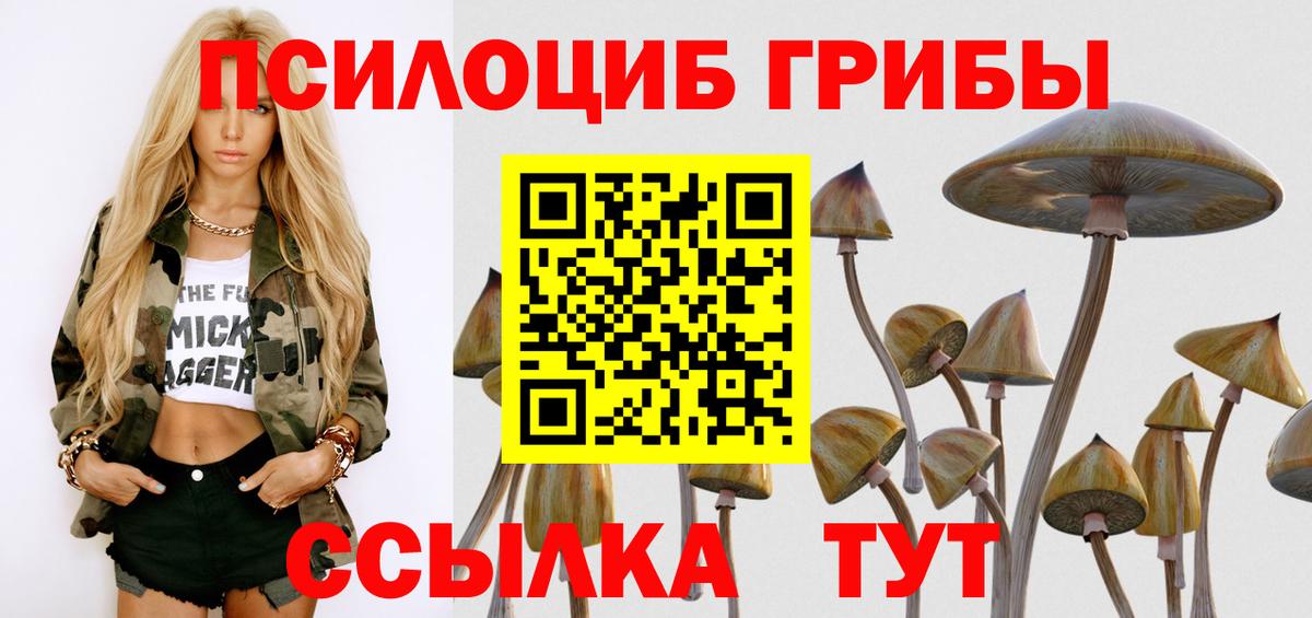 Псилоцибиновые грибы мицелий  Вход с VPN  Краснокаменск 